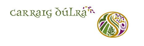 Logo image for Carraig Dúlra